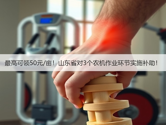 最高可领50元/亩!山东省对3个农机作业环节实施补助!(图2) 最高可领50元/亩!山东省对3个农机作业环节实施补助!(图2)