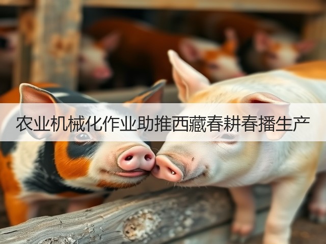 农业机械化作业助推西藏春耕春播生产(图1) 农业机械化作业助推西藏春耕春播生产(图1)