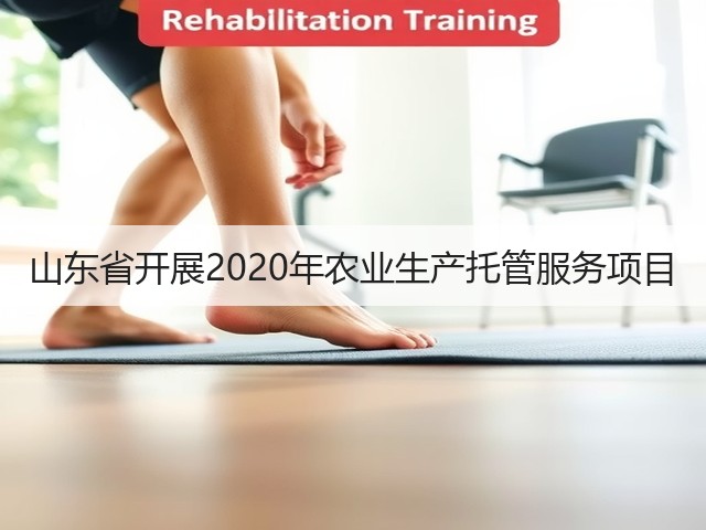 山东省开展2020年农业生产托管服务项目(图3) 山东省开展2020年农业生产托管服务项目(图3)