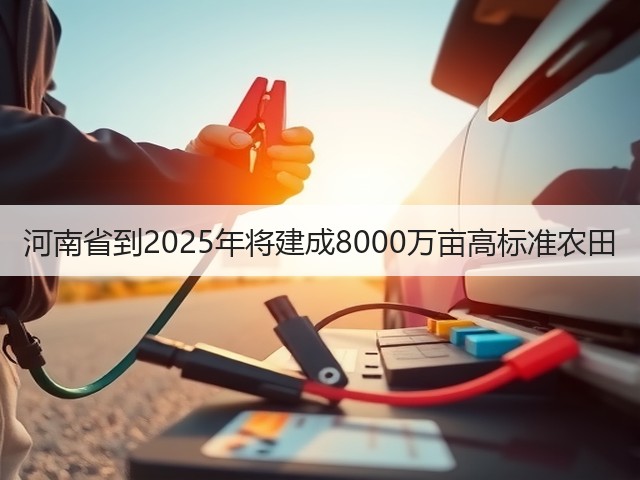 河南省到2025年将建成8000万亩高标准农田(图2) 河南省到2025年将建成8000万亩高标准农田(图2)