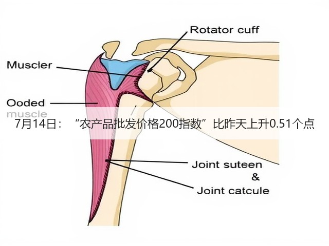 7月14日:“农产品批发价格200指数”比昨天上升0.51个点(图2) 7月14日:“农产品批发价格200指数”比昨天上升0.51个点(图2)