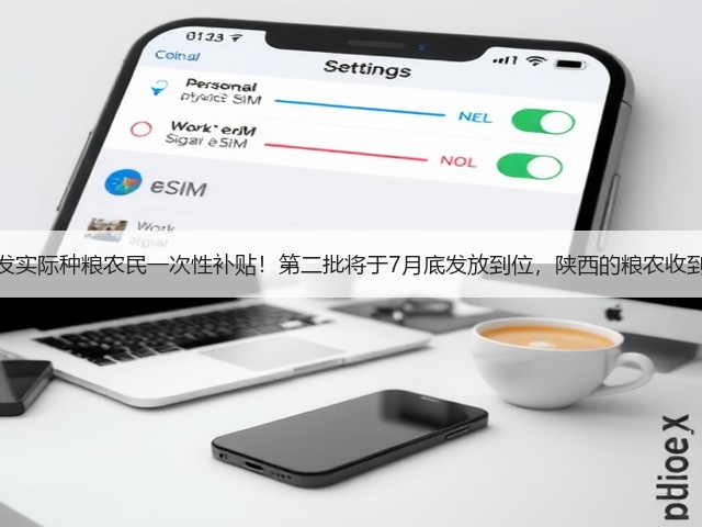 两次下发实际种粮农民一次性补贴!第二批将于7月底发放到位,陕西的粮农收到了吗?(图1) 两次下发实际种粮农民一次性补贴!第二批将于7月底发放到位,陕西的粮农收到了吗?(图1)