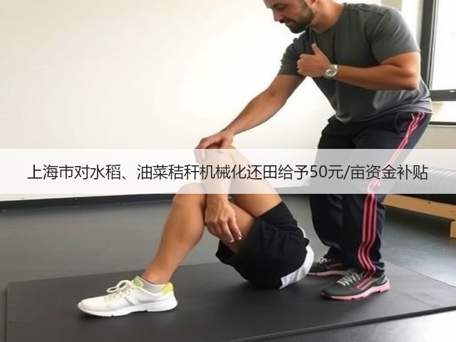上海市对水稻、油菜秸秆机械化还田给予50元/亩资金补贴(图2) 上海市对水稻、油菜秸秆机械化还田给予50元/亩资金补贴(图2)