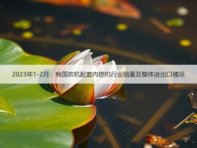 2023年1-2月:我国农机配套内燃机行业销量及整体进出口情况(图3) 2023年1-2月:我国农机配套内燃机行业销量及整体进出口情况(图3)