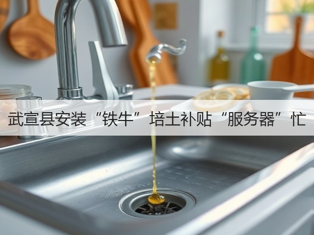武宣县安装“铁牛”培土补贴“服务器”忙(图1) 武宣县安装“铁牛”培土补贴“服务器”忙(图1)