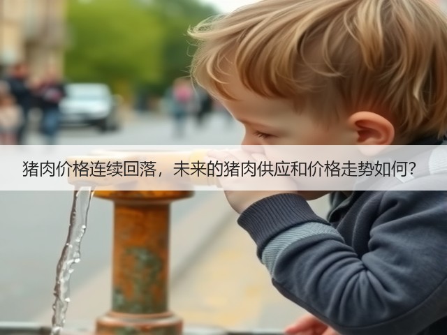 猪肉价格连续回落,未来的猪肉供应和价格走势如何?(图2) 猪肉价格连续回落,未来的猪肉供应和价格走势如何?(图2)