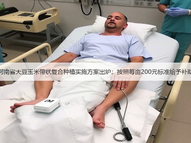 河南省大豆玉米带状复合种植实施方案出炉：按照每亩200元标准给予补助(图2)