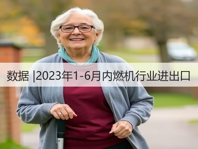 数据 |2023年1-6月内燃机行业进出口(图2)