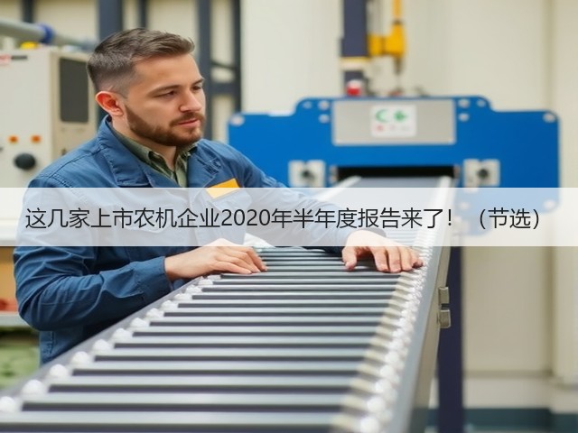 这几家上市农机企业2020年半年度报告来了!(节选)(图3) 这几家上市农机企业2020年半年度报告来了!(节选)(图3)