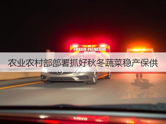 农业农村部部署抓好秋冬蔬菜稳产保供(图1) 农业农村部部署抓好秋冬蔬菜稳产保供(图1)