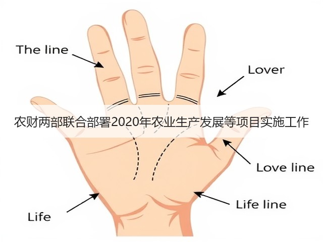 农财两部联合部署2020年农业生产发展等项目实施工作(图3) 农财两部联合部署2020年农业生产发展等项目实施工作(图3)