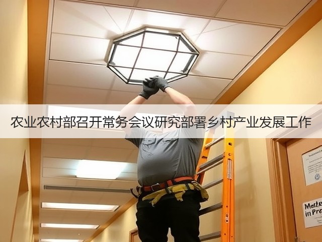 农业农村部召开常务会议研究部署乡村产业发展工作(图3)