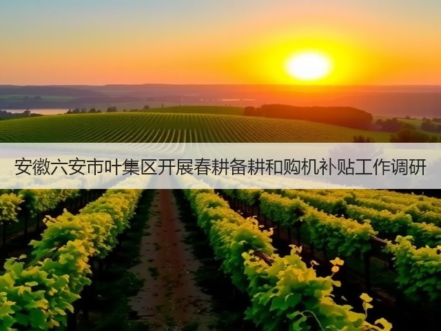 安徽六安市叶集区开展春耕备耕和购机补贴工作调研(图1)
