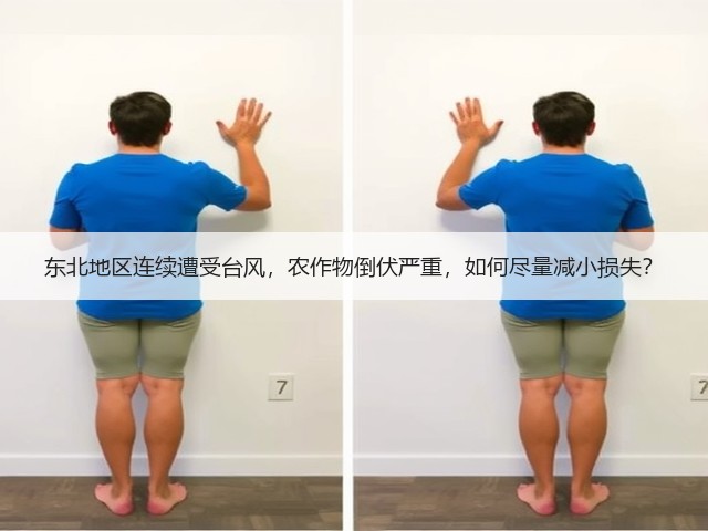 东北地区连续遭受台风,农作物倒伏严重,如何尽量减小损失?(图3) 东北地区连续遭受台风,农作物倒伏严重,如何尽量减小损失?(图3)