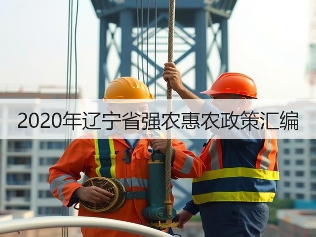 2020年辽宁省强农惠农政策汇编(图2) 2020年辽宁省强农惠农政策汇编(图2)