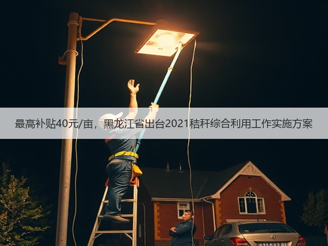 最高补贴40元/亩,黑龙江省出台2021秸秆综合利用工作实施方案(图2) 最高补贴40元/亩,黑龙江省出台2021秸秆综合利用工作实施方案(图2)
