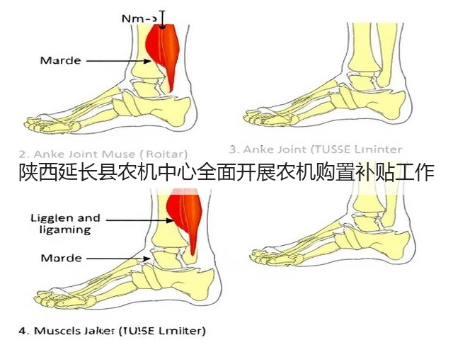 陕西延长县农机中心全面开展农机购置补贴工作(图2) 陕西延长县农机中心全面开展农机购置补贴工作(图2)