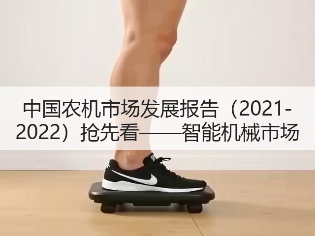 中国农机市场发展报告(2021-2022)抢先看——智能机械市场(图1) 中国农机市场发展报告(2021-2022)抢先看——智能机械市场(图1)