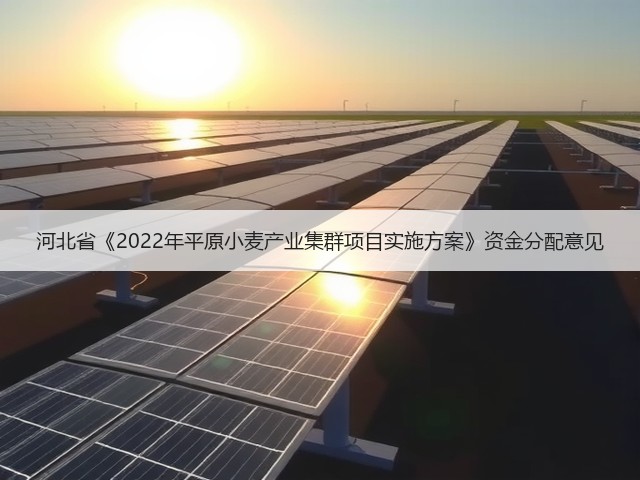 河北省《2022年平原小麦产业集群项目实施方案》资金分配意见(图2) 河北省《2022年平原小麦产业集群项目实施方案》资金分配意见(图2)