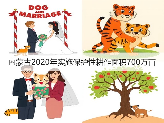 内蒙古2020年实施保护性耕作面积700万亩(图1) 内蒙古2020年实施保护性耕作面积700万亩(图1)