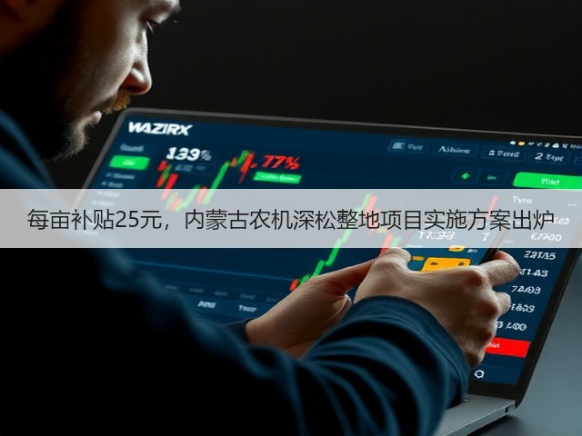 每亩补贴25元,内蒙古农机深松整地项目实施方案出炉(图3) 每亩补贴25元,内蒙古农机深松整地项目实施方案出炉(图3)