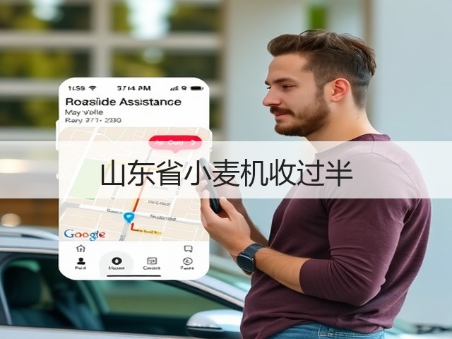 山东省小麦机收过半(图3)