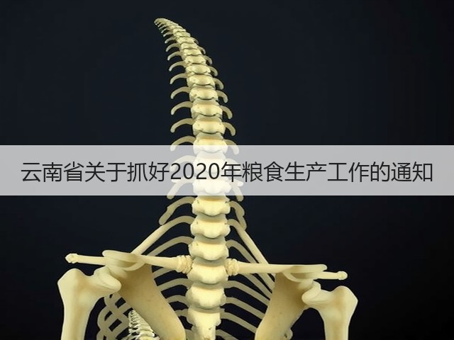 云南省关于抓好2020年粮食生产工作的通知(图2)