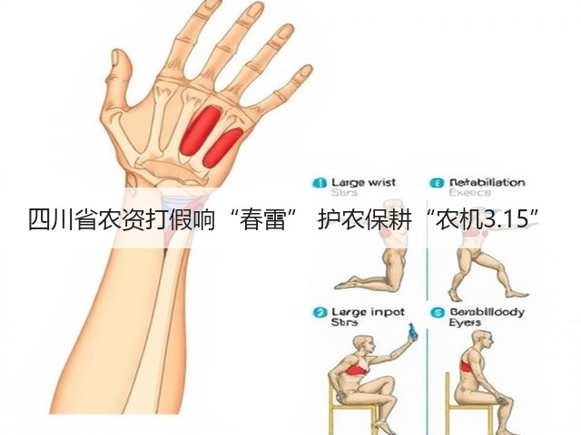 四川省农资打假响“春雷” 护农保耕“农机3.15”(图1) 四川省农资打假响“春雷” 护农保耕“农机3.15”(图1)