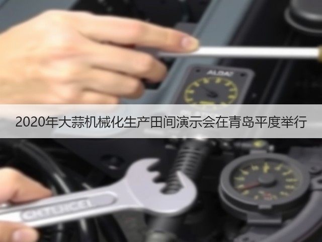 2020年大蒜机械化生产田间演示会在青岛平度举行(图2) 2020年大蒜机械化生产田间演示会在青岛平度举行(图2)