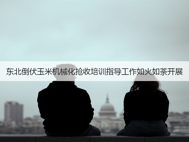 东北倒伏玉米机械化抢收培训指导工作如火如荼开展(图1)