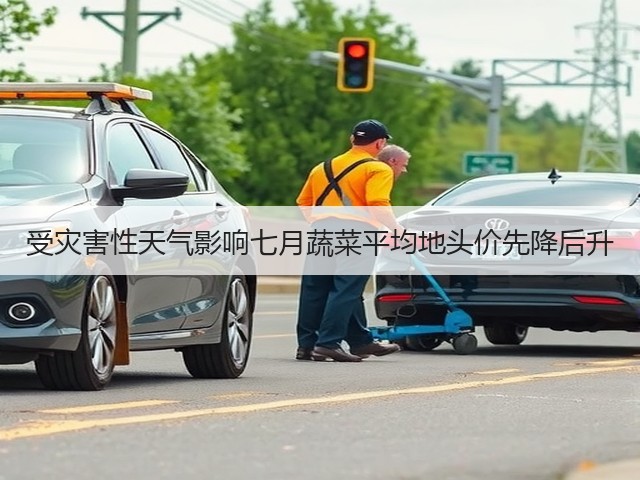 受灾害性天气影响七月蔬菜平均地头价先降后升(图1)