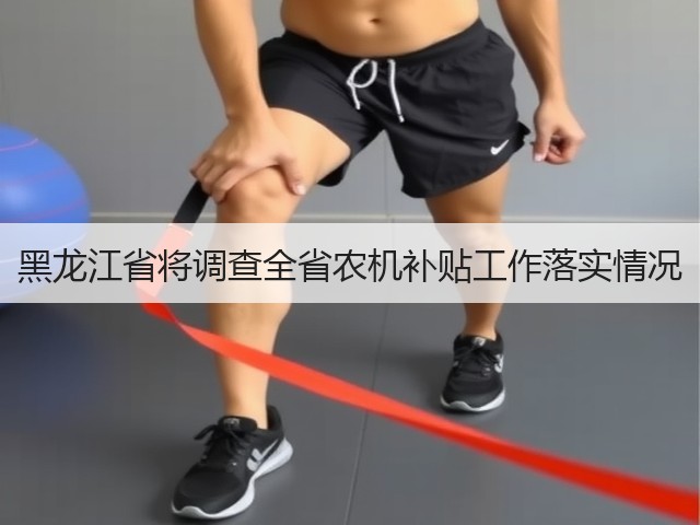 黑龙江省将调查全省农机补贴工作落实情况(图3) 黑龙江省将调查全省农机补贴工作落实情况(图3)