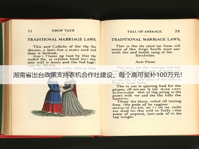 湖南省出台政策支持农机合作社建设,每个高可奖补100万元!(图1) 湖南省出台政策支持农机合作社建设,每个高可奖补100万元!(图1)