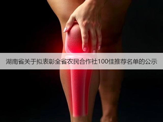 湖南省关于拟表彰全省农民合作社100佳推荐名单的公示(图1) 湖南省关于拟表彰全省农民合作社100佳推荐名单的公示(图1)