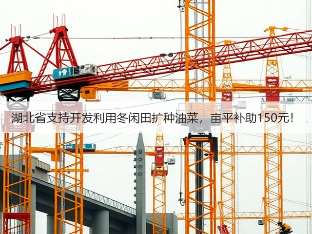 湖北省支持开发利用冬闲田扩种油菜，亩平补助150元！(图1)