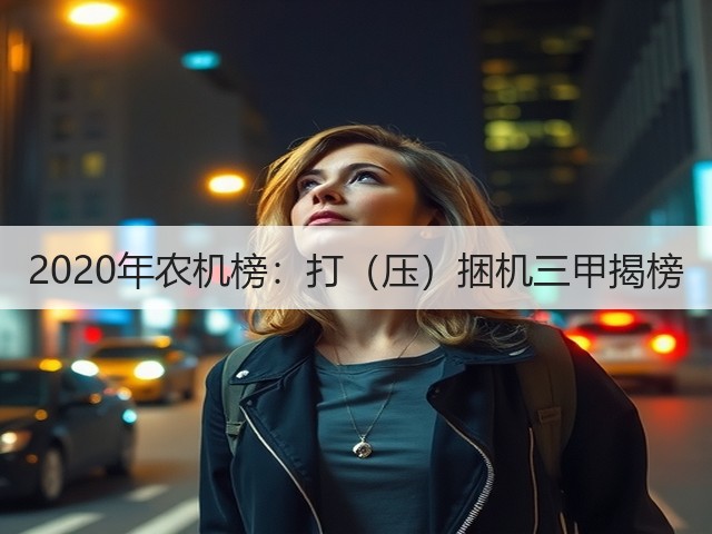 2020年农机榜:打(压)捆机三甲揭榜(图2) 2020年农机榜:打(压)捆机三甲揭榜(图2)