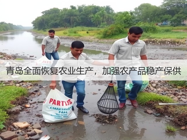 青岛全面恢复农业生产,加强农产品稳产保供(图1) 青岛全面恢复农业生产,加强农产品稳产保供(图1)