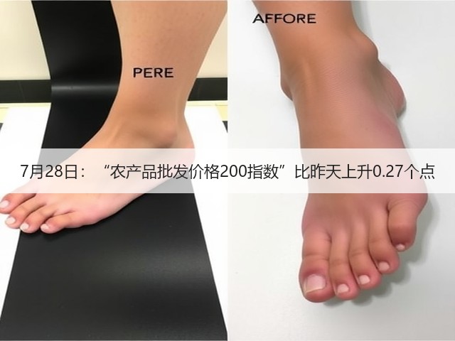 7月28日:“农产品批发价格200指数”比昨天上升0.27个点(图3) 7月28日:“农产品批发价格200指数”比昨天上升0.27个点(图3)