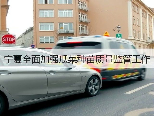 宁夏全面加强瓜菜种苗质量监管工作(图2) 宁夏全面加强瓜菜种苗质量监管工作(图2)