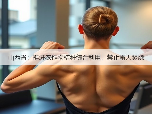 山西省:推进农作物秸秆综合利用,禁止露天焚烧(图1) 山西省:推进农作物秸秆综合利用,禁止露天焚烧(图1)
