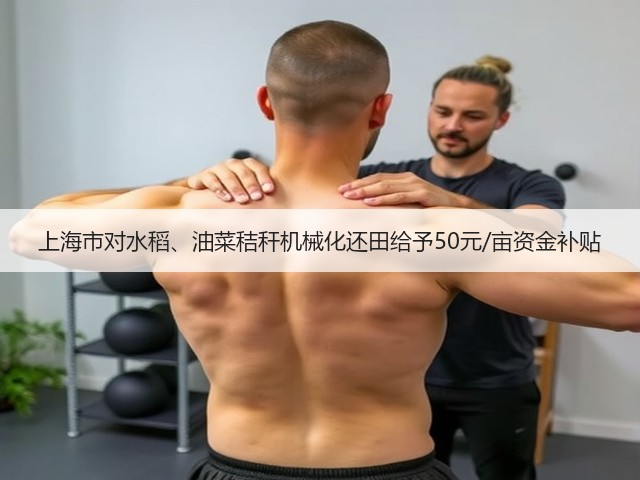 上海市对水稻、油菜秸秆机械化还田给予50元/亩资金补贴(图1) 上海市对水稻、油菜秸秆机械化还田给予50元/亩资金补贴(图1)