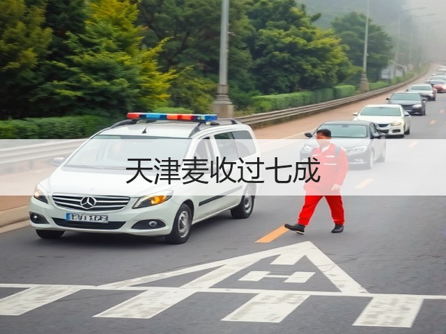 天津麦收过七成(图2)