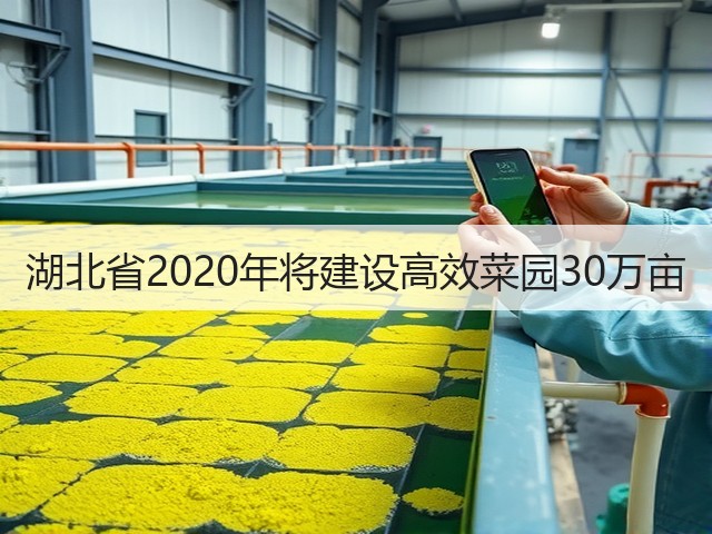 湖北省2020年将建设高效菜园30万亩(图2) 湖北省2020年将建设高效菜园30万亩(图2)