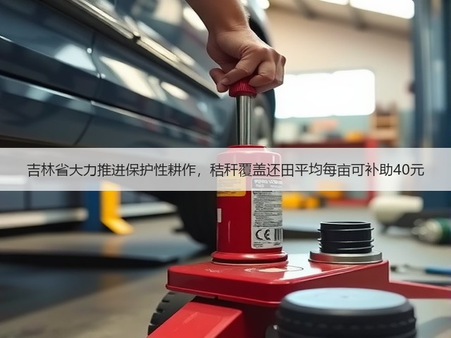吉林省大力推进保护性耕作，秸秆覆盖还田平均每亩可补助40元(图2)