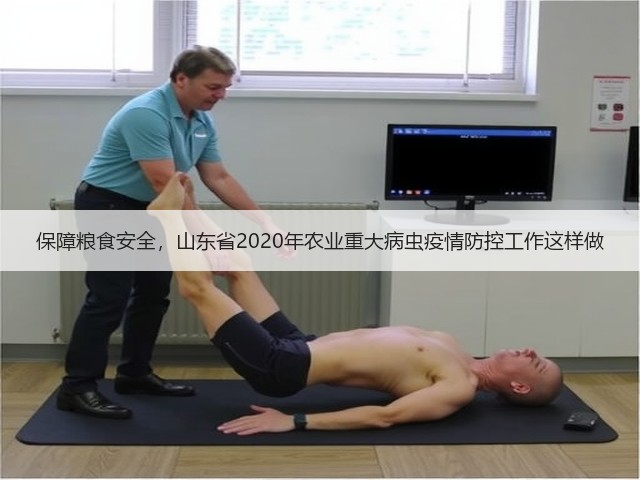保障粮食安全,山东省2020年农业重大病虫疫情防控工作这样做(图3) 保障粮食安全,山东省2020年农业重大病虫疫情防控工作这样做(图3)