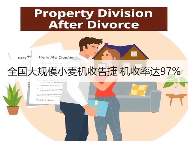 全国大规模小麦机收告捷 机收率达97%(图2) 全国大规模小麦机收告捷 机收率达97%(图2)