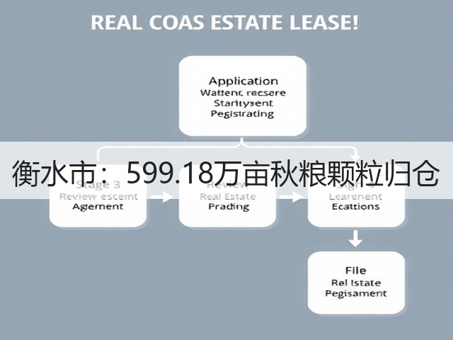 衡水市:599.18万亩秋粮颗粒归仓(图3) 衡水市:599.18万亩秋粮颗粒归仓(图3)