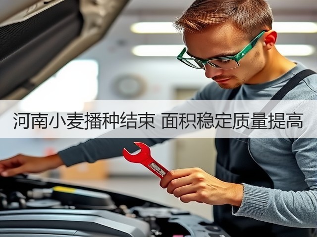 河南小麦播种结束 面积稳定质量提高(图2) 河南小麦播种结束 面积稳定质量提高(图2)