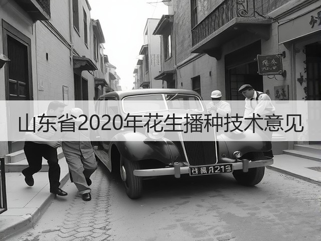 山东省2020年花生播种技术意见(图3) 山东省2020年花生播种技术意见(图3)