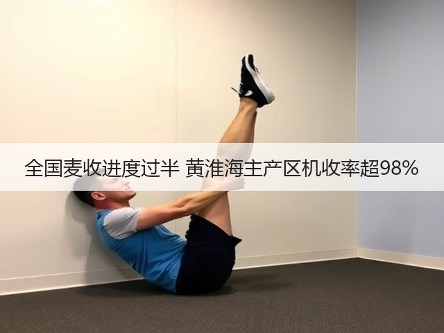 全国麦收进度过半 黄淮海主产区机收率超98%(图1) 全国麦收进度过半 黄淮海主产区机收率超98%(图1)